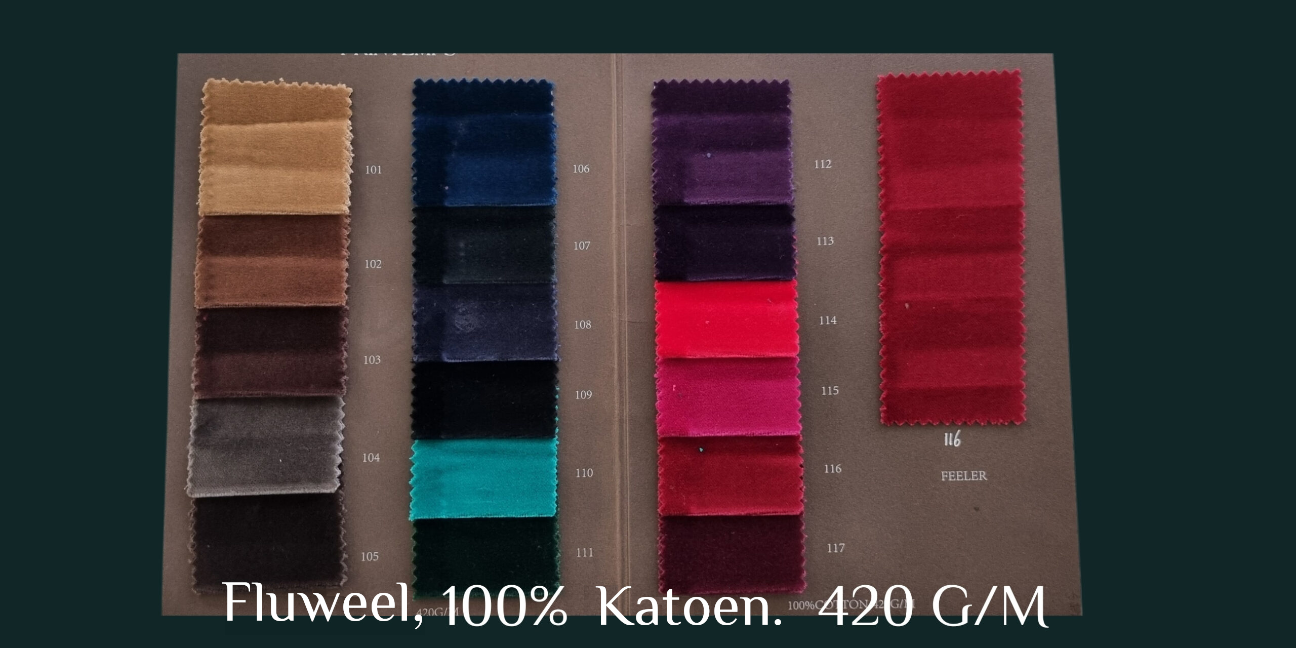 6-scaled-nl